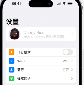 仁兴镇appleID维修服务iPhone设置中Apple ID显示为灰色无法使用 