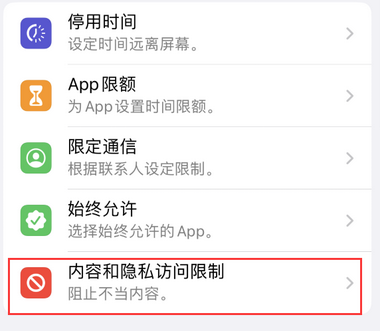 仁兴镇appleID维修服务iPhone设置中Apple ID显示为灰色无法使用