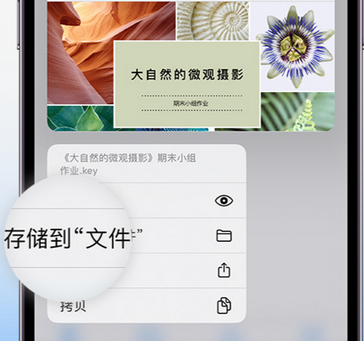 仁兴镇apple维修中心分享iPhone文件应用中存储和找到下载文件