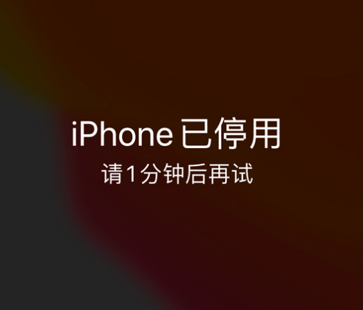 仁兴镇苹果手机维修分享:iPhone 显示“不可用”或“已停用”怎么办？还能保留数据吗？ 