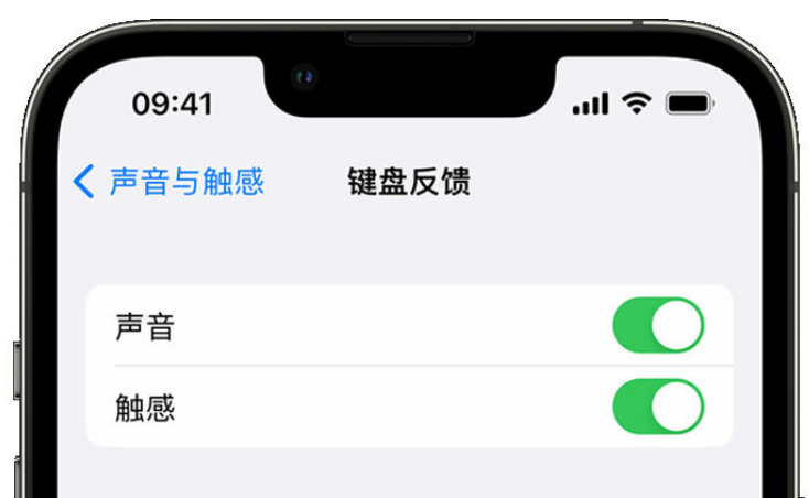 仁兴镇苹果手机维修分享iPhone 14触感键盘使用方法 