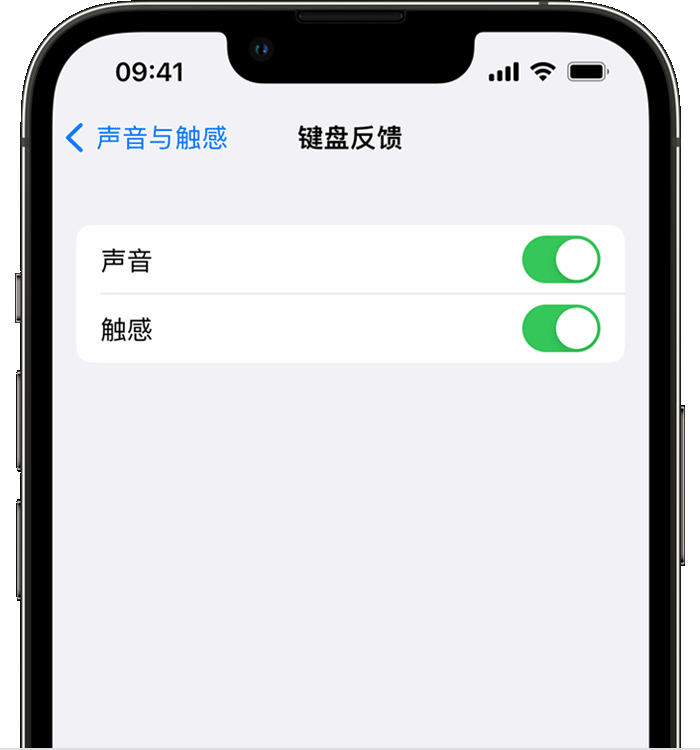 仁兴镇苹果14维修店分享如何在 iPhone 14 机型中使用触感键盘 