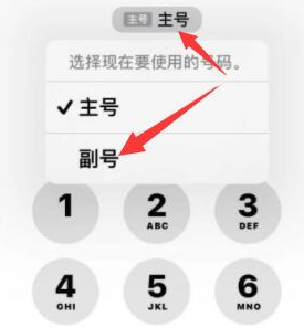 仁兴镇苹果14维修店分享iPhone 14 Pro Max使用副卡打电话的方法 