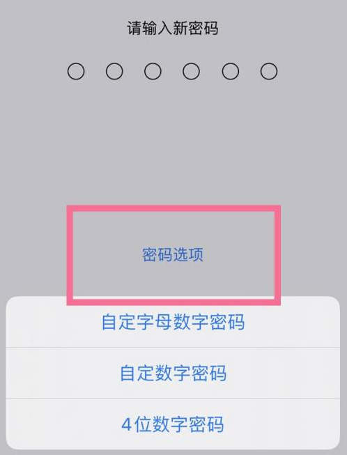 仁兴镇苹果14维修分享iPhone 14plus设置密码的方法 