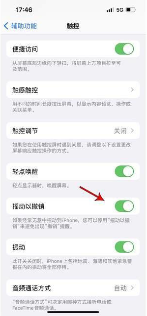 仁兴镇苹果手机维修分享iPhone手机如何设置摇一摇删除文字 