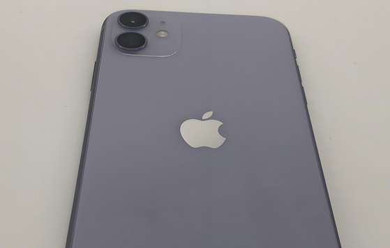 仁兴镇苹果11系统维修分享iPhone11手机系统崩溃无法开机如何解决